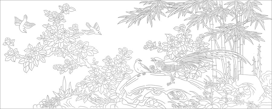 花鳥線描圖