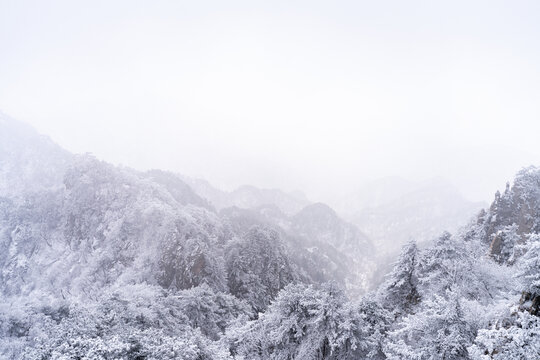 老君山下雪大山森林雾凇景观