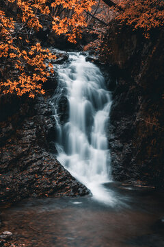 本溪枫叶枫树瀑布溪水小溪山泉水