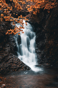 本溪楓葉楓樹瀑布溪水小溪山泉水
