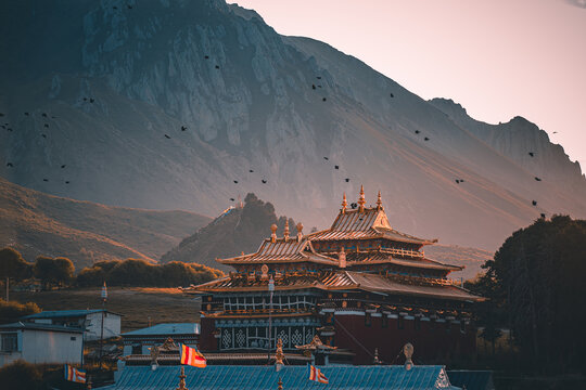 甘南自驾游世界藏学府拉卜楞寺