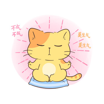 佛系小貓