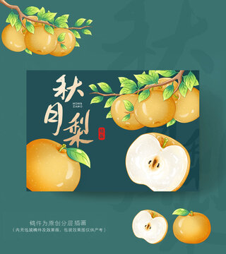秋月梨包裝插畫