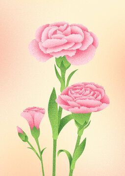 母亲节康乃馨粉色肌理插画