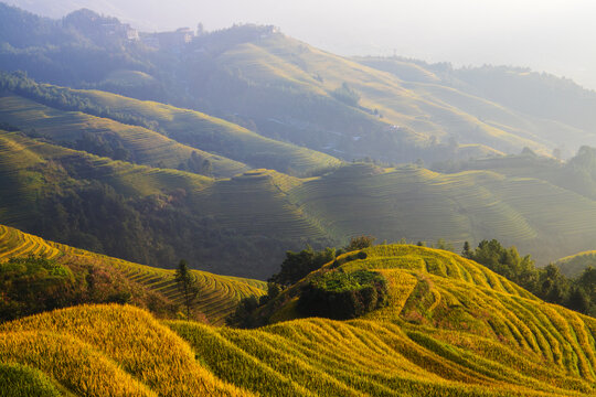 中国广西桂林龙脊梯田日照美景