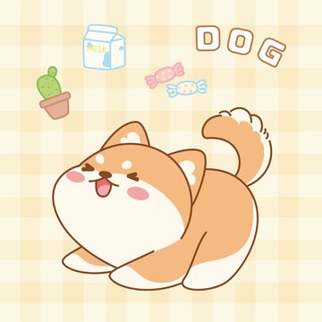 伸懶腰柴犬
