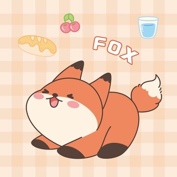 伸懶腰狐貍