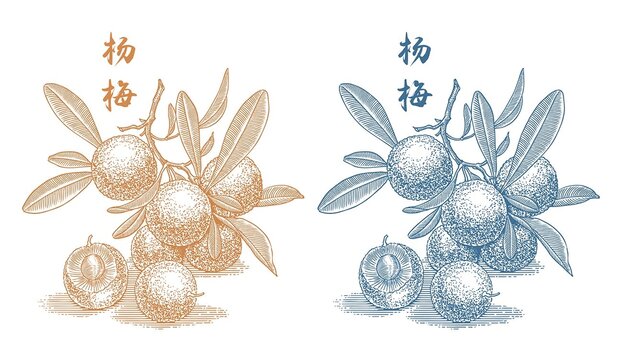 楊梅版畫