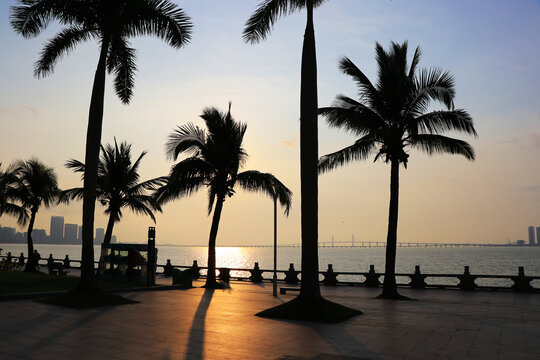 海滨城市日出风景画