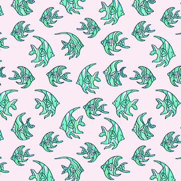 海魚