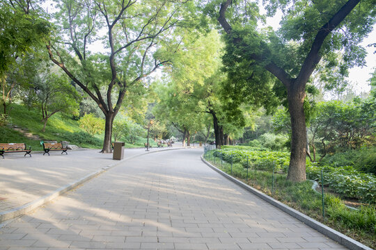北京北海公园的白天美丽风光