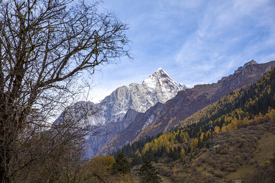 四姑娘山秋季美景