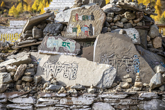 玛尼石刻着藏文的石头