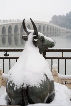 北京颐和园雪中铜牛