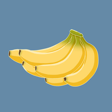 手绘香蕉插画