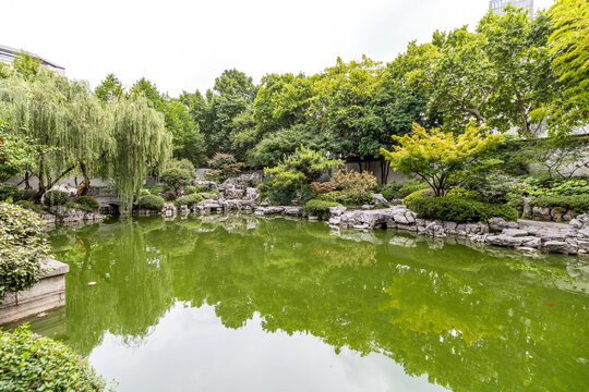 南京总统府后花园古典园林景观