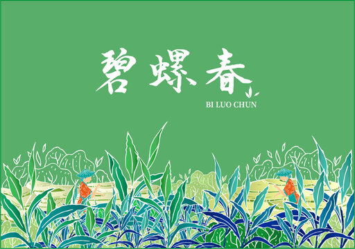 綠茶包裝