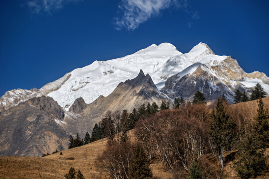 雪山秋林