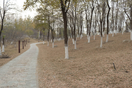 北京南海子公园