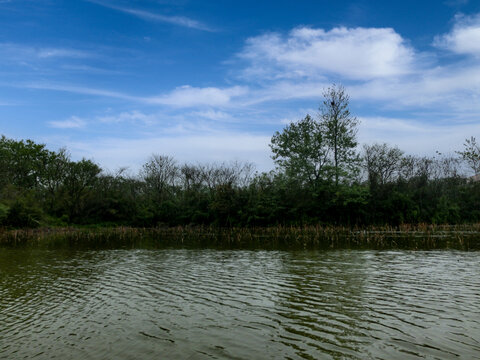 西溪湿地国家公园