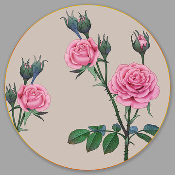 玫瑰花插畫