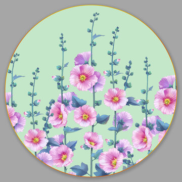 蜀葵插畫