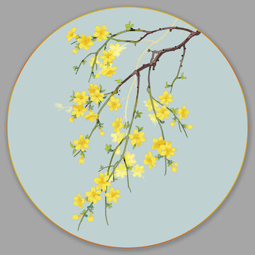 迎春花插畫(huà)