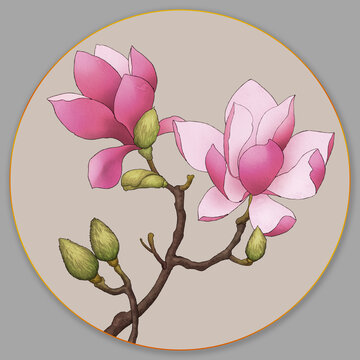 玉蘭插畫
