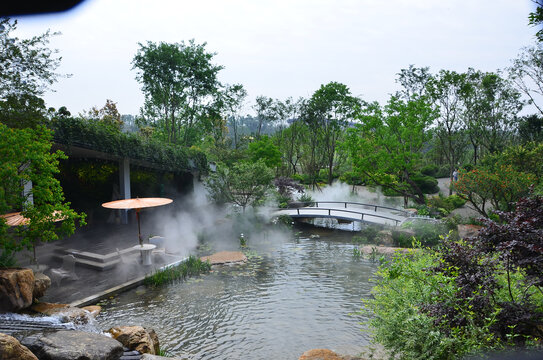 景观池