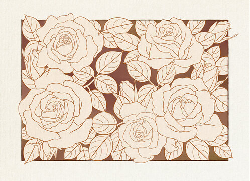 玫瑰月季花线描