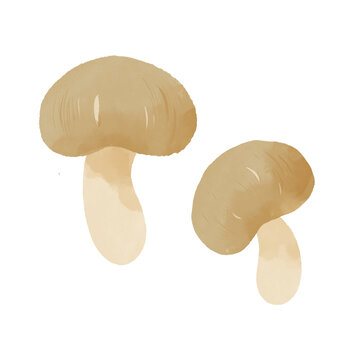 香菇水彩插畫蔬菜素材