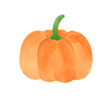 南瓜水彩插畫蔬菜素材