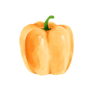 彩椒水彩插畫蔬菜素材