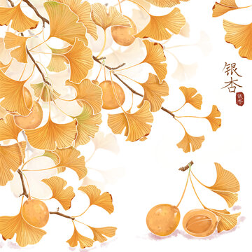 原創(chuàng)手繪小清新銀杏插畫