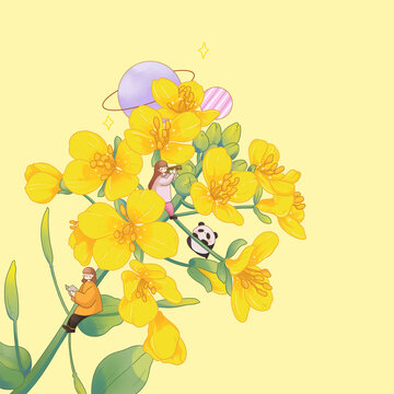 清新油菜花手繪插畫(huà)