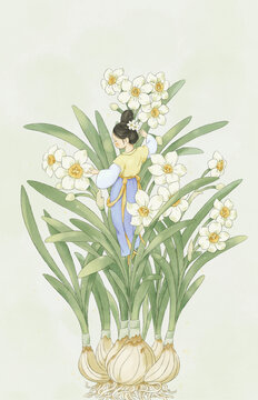 中國風(fēng)十二花令水仙花