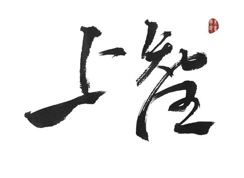 上智