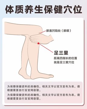 足三里手绘保健穴位