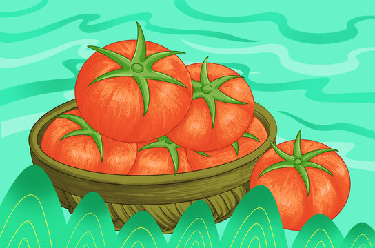 手绘番茄包装插画