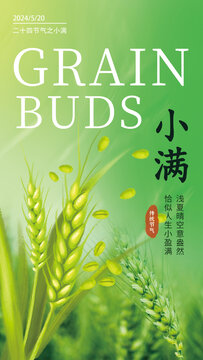 二十四節(jié)氣之小滿