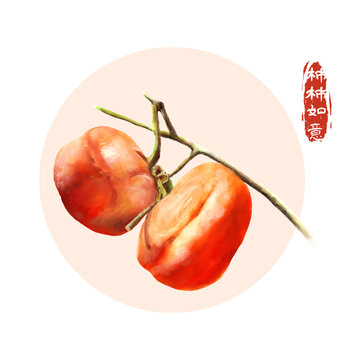 柿子手繪作品