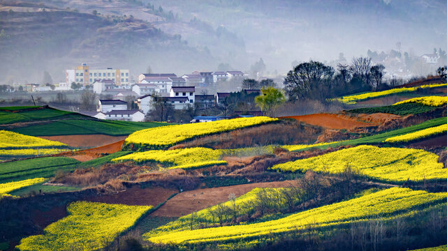 七彩大地