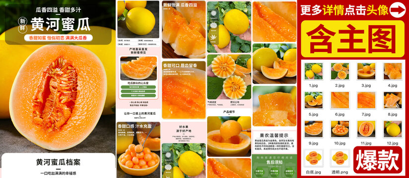 黃河蜜瓜詳情