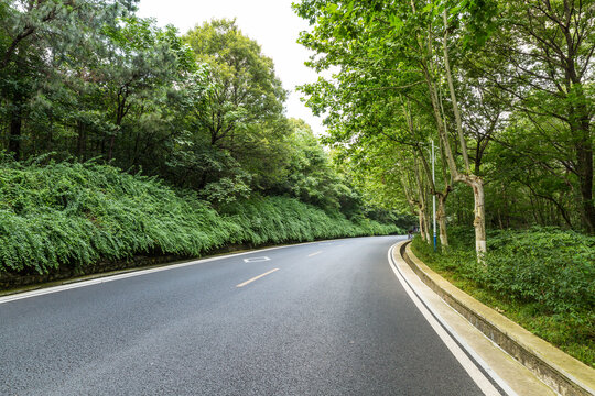 中山陵陵园路