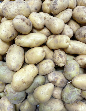 一堆土豆