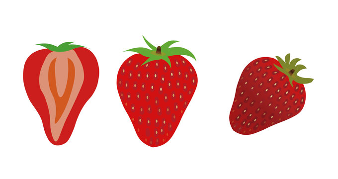 草莓及切面矢量图