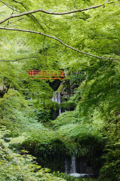 日式庭院与桥