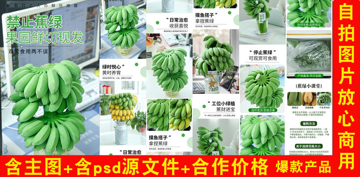 水培香蕉詳情頁(yè)