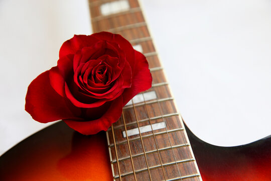 玫瑰吉他