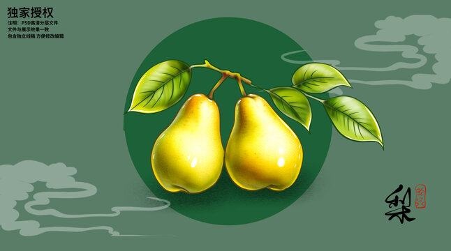梨手繪插畫(huà)